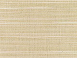 Sunbrella Dupione Sand (8011-0000)